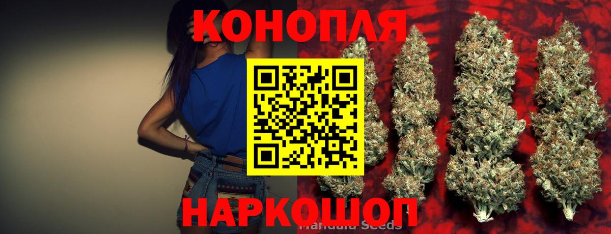 Канабис ГИДРОПОН Кашира